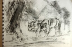 sketch with charcoal